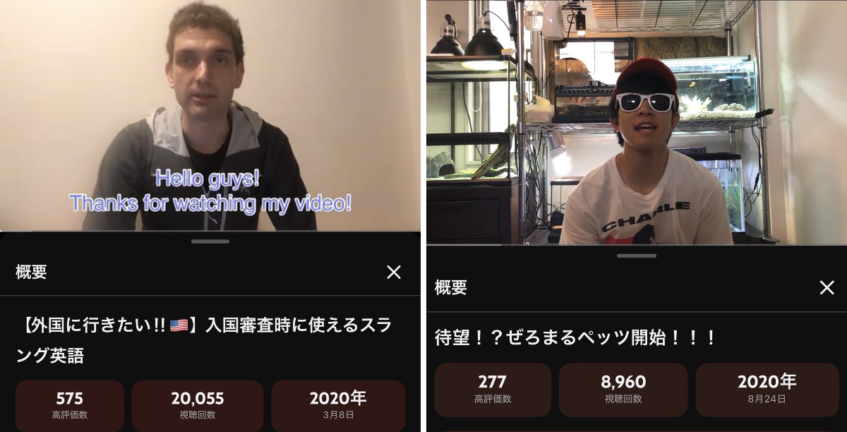 ぜろまるペッツ on X: 