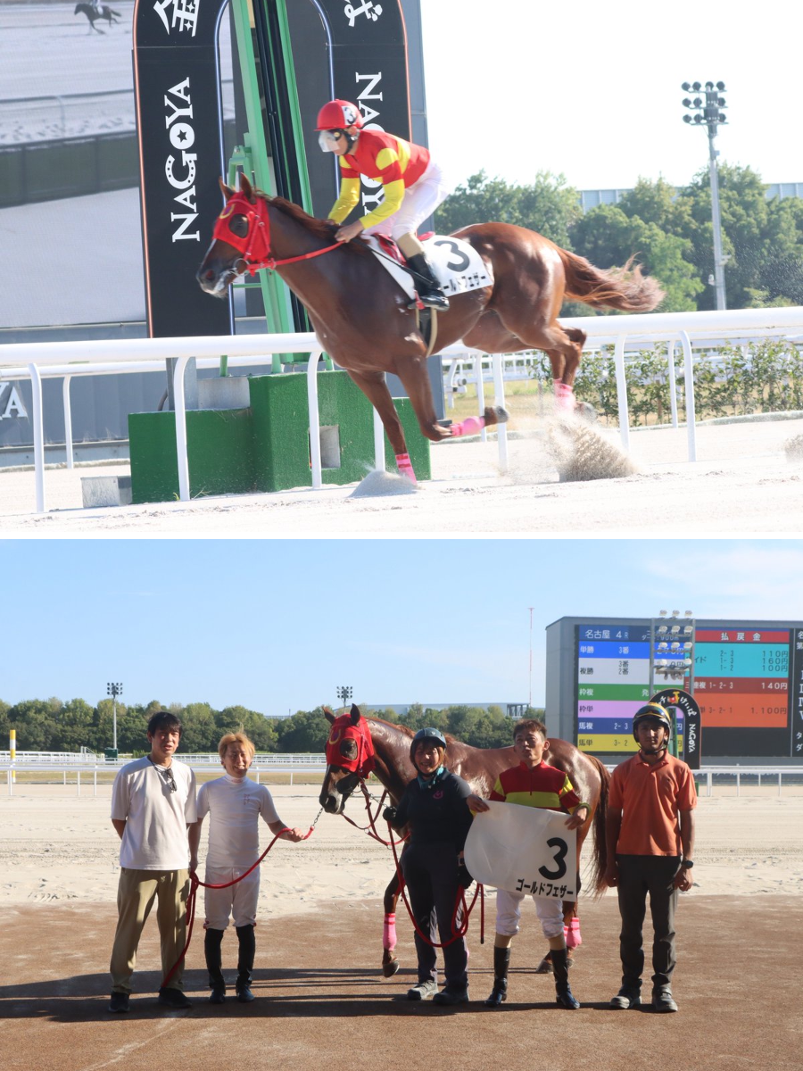 金シャチけいばNAGOYA ＠名古屋競馬 on X: 