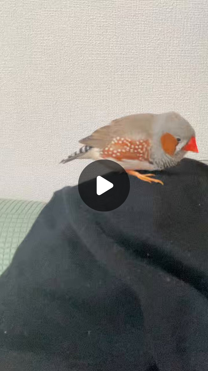 ⭐︎ふ3⭐︎ ちな on X: 