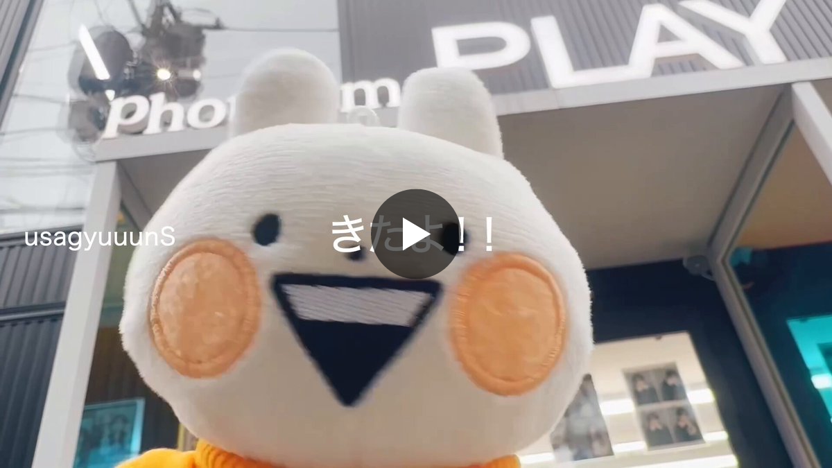 うさぎゅーん ねこぎゅーん ぬいぐるみ うさぎゅーんのアトリエ🥕🐰 on X: 