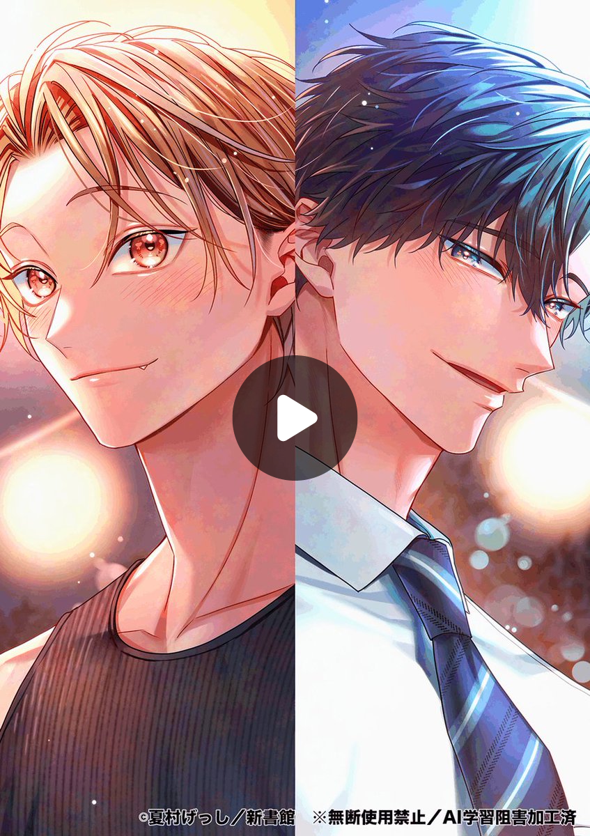ディアプラス＆シェリプラス編集部2（避難用） a X: 