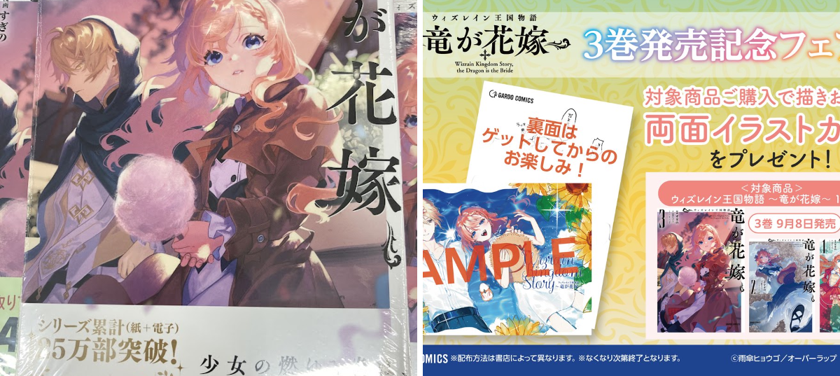 アニメイト天王寺 в X: „【書籍入荷情報】 『ウィズレイン王国物語