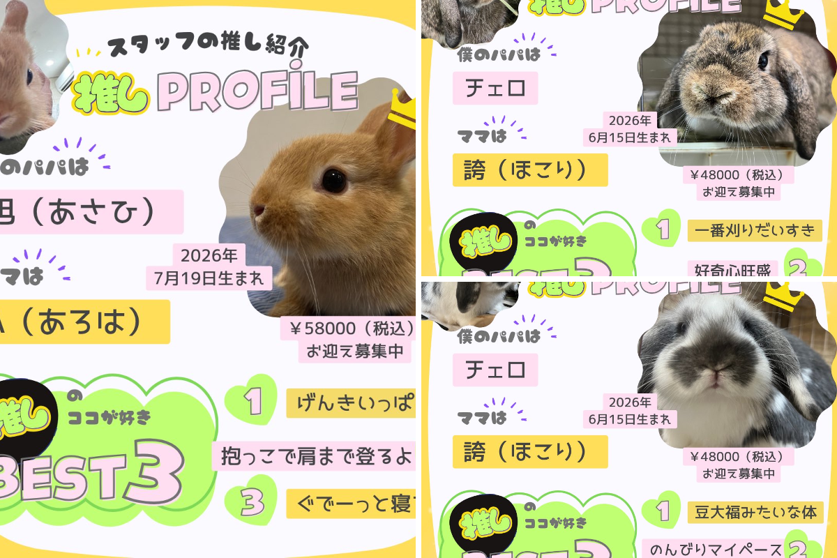 2096080976841773272