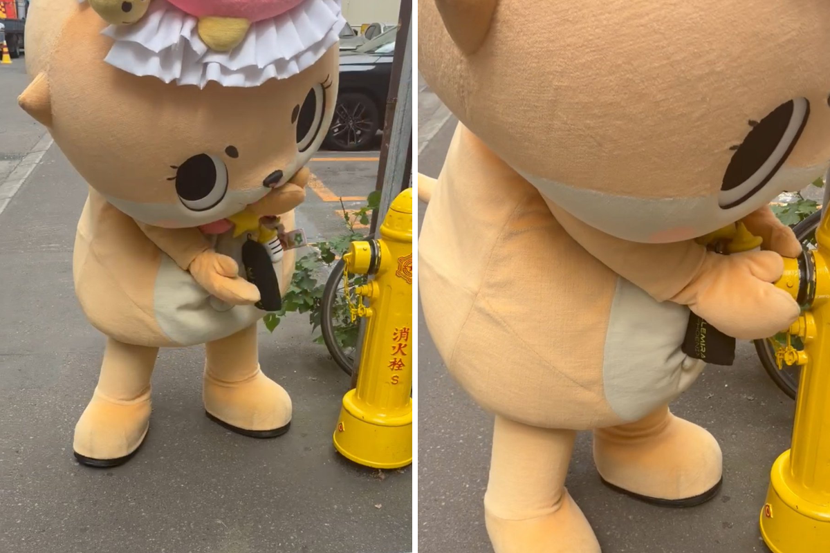 公式：ちぃたん☆北海道 on X: 