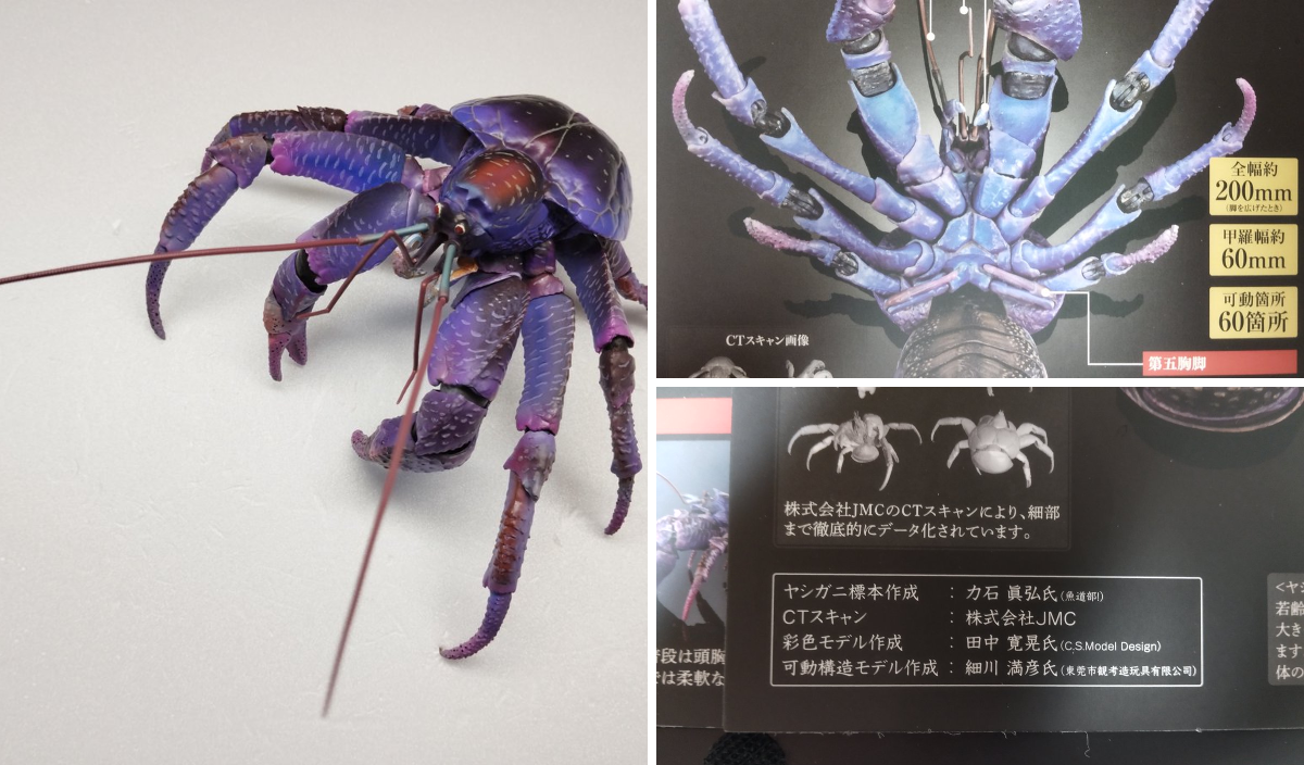 魚道部！/ 剥製師 力石眞弘 (ﾁｶﾗｲｼ ﾏｻﾋﾛ) on X: 