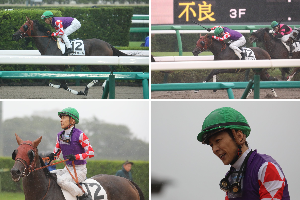 X-এ にしざわ(📷): 