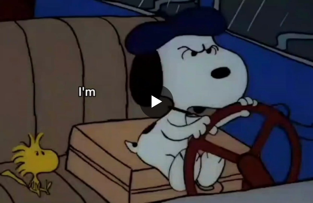 Snoopy on X / X