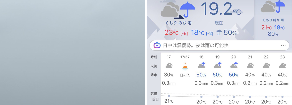 雨上さまご確認用 2097829562432495680