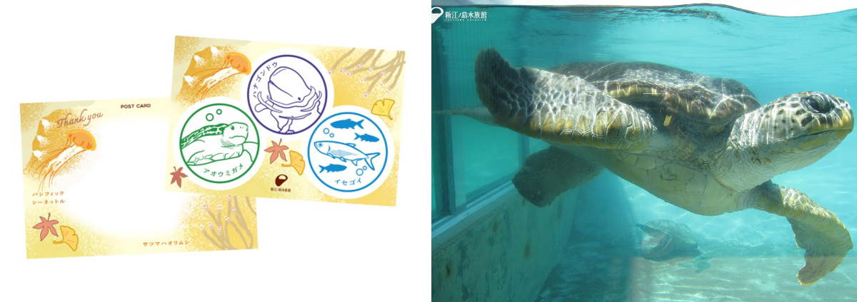 産直品 敬老の日 カタログギフト ハガキ2枚 白波 家電 月島もんじゃ 水族館 新江ノ島水族館 on X: 