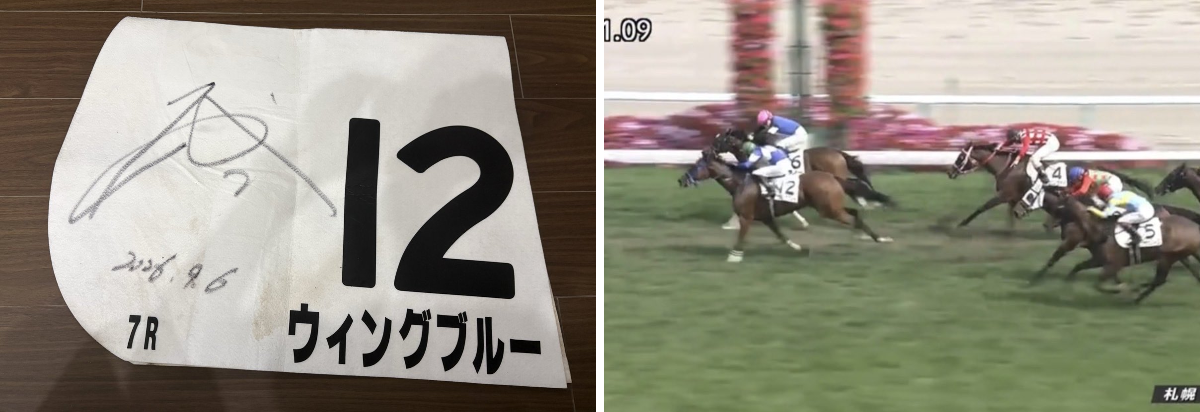 naoya@JRA馬主 on X: 