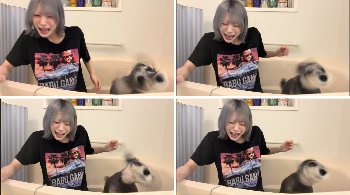 yksmamaです⭐︎ 2098360962932003303