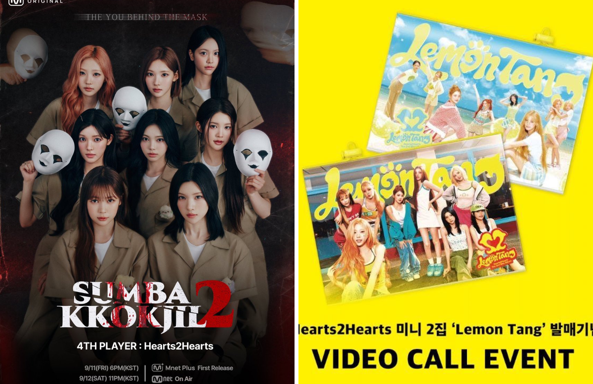 STELLA Thailand on X: 