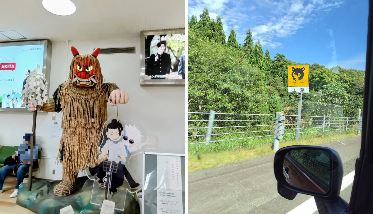 まりも🐒 on X: 