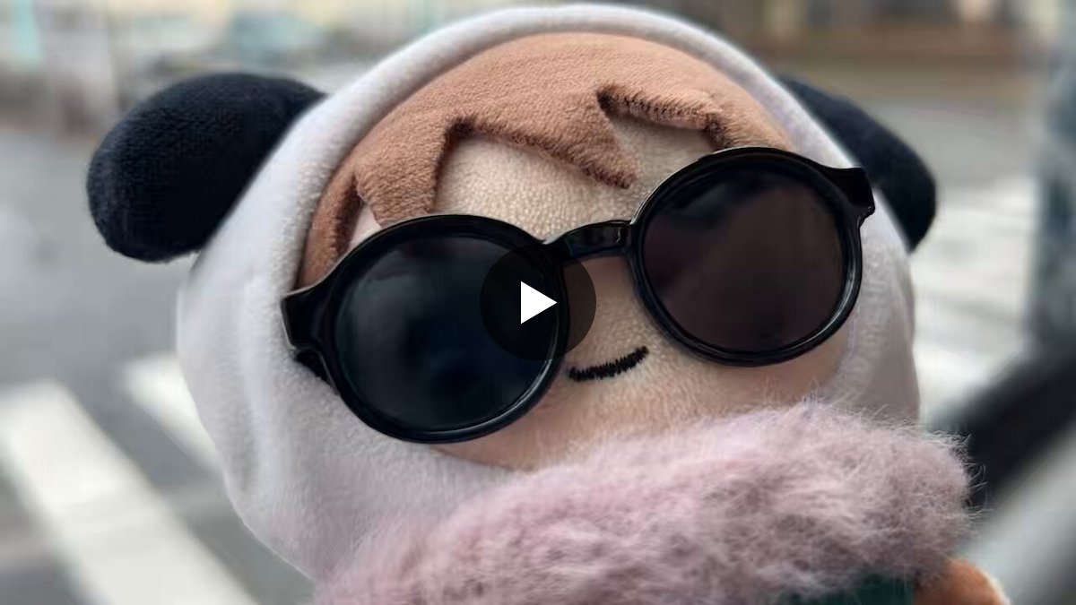 にゃおだて 🐶にゃお🐼パン🐱 on X: 