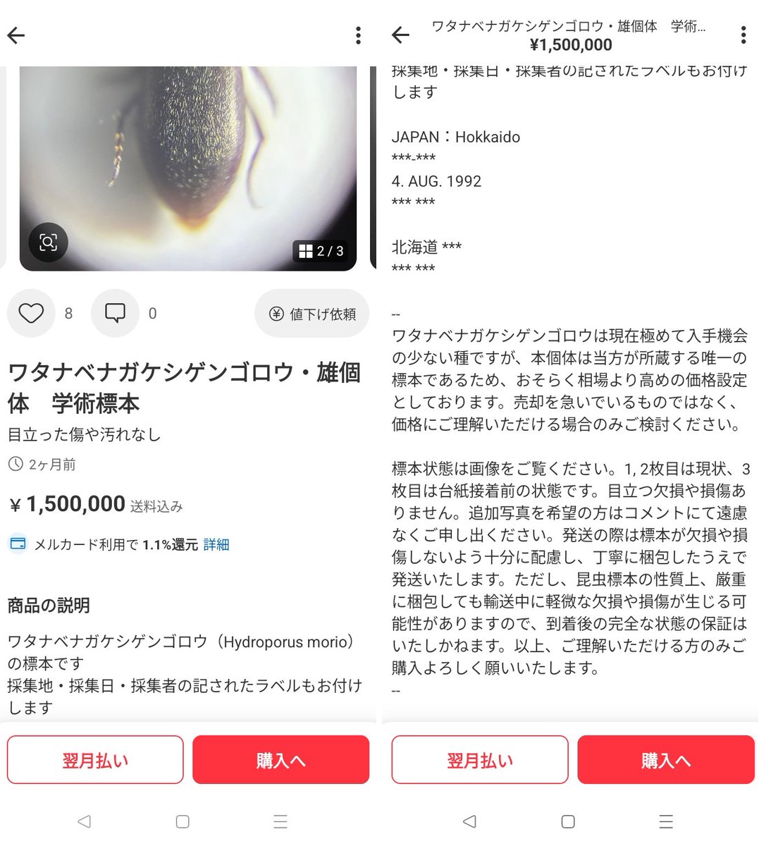湿地虫毒 on X: 
