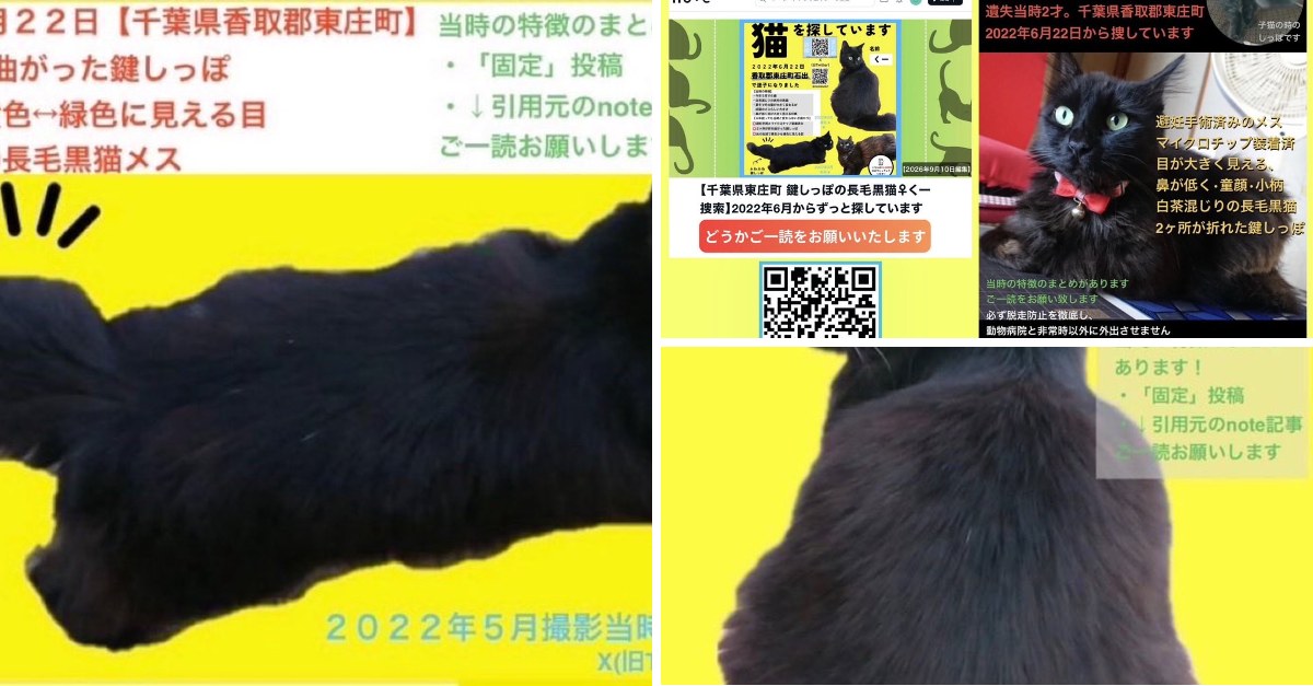 花子🐴😸🐶(名前変更しました) on X: 