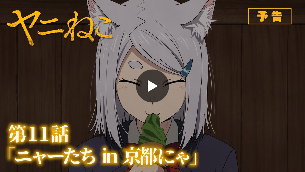 ヤニねこ」TVアニメ公式 on X: 