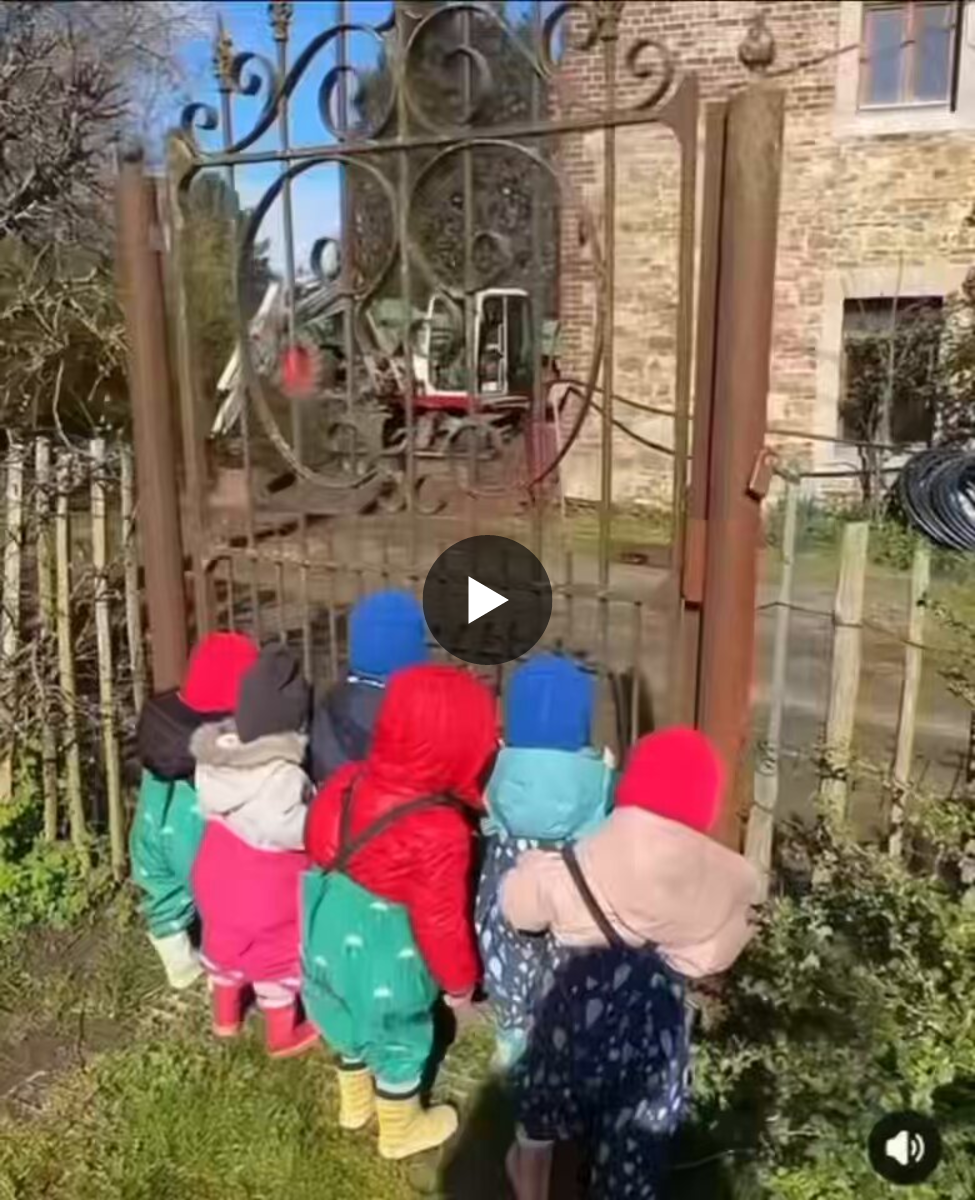 Nina Michal on X: "Out for a walk, the kindergarten kids are amazed to ...