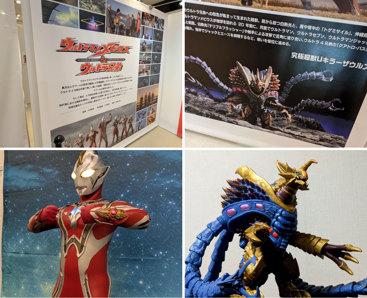 シュエル on X: 