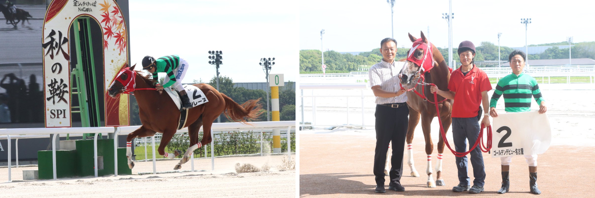 X-এ 金シャチけいばNAGOYA ＠名古屋競馬: 