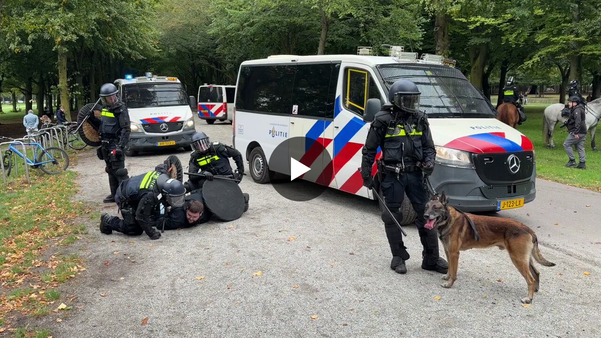 jan-willem-prosje-on-x-meerdere-aanhoudingen-wijzijnhetvolk