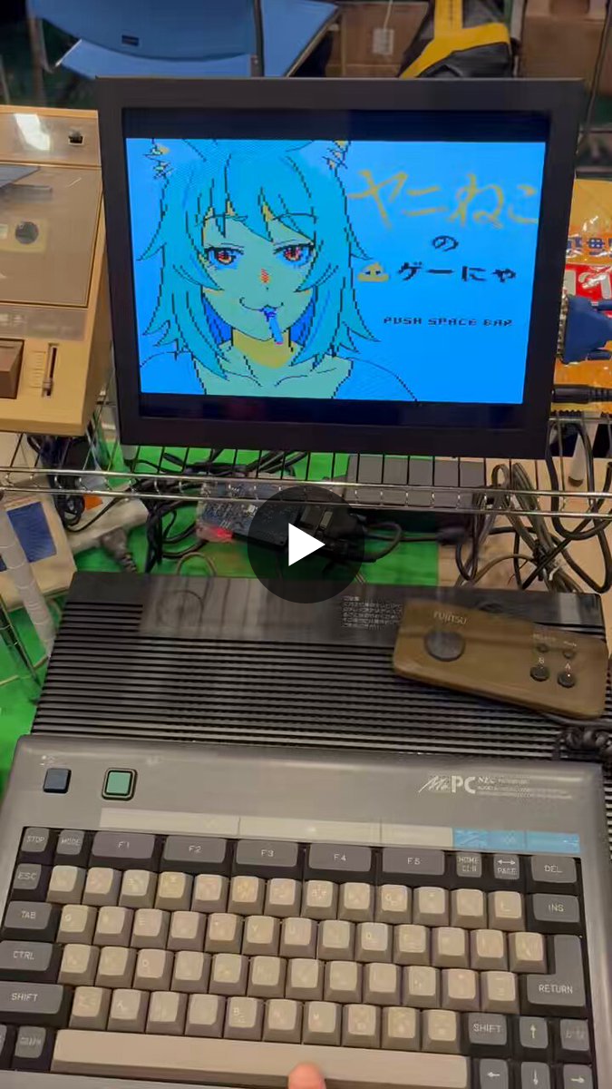 にゃーすん樣専用 わんにゃーHashi on X: 