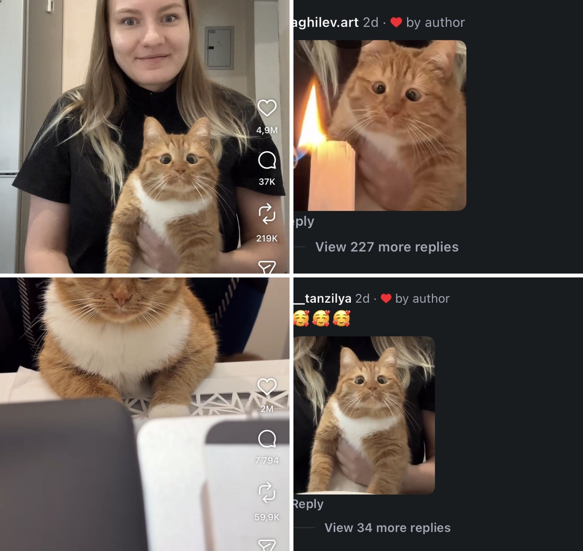 000 on X: 