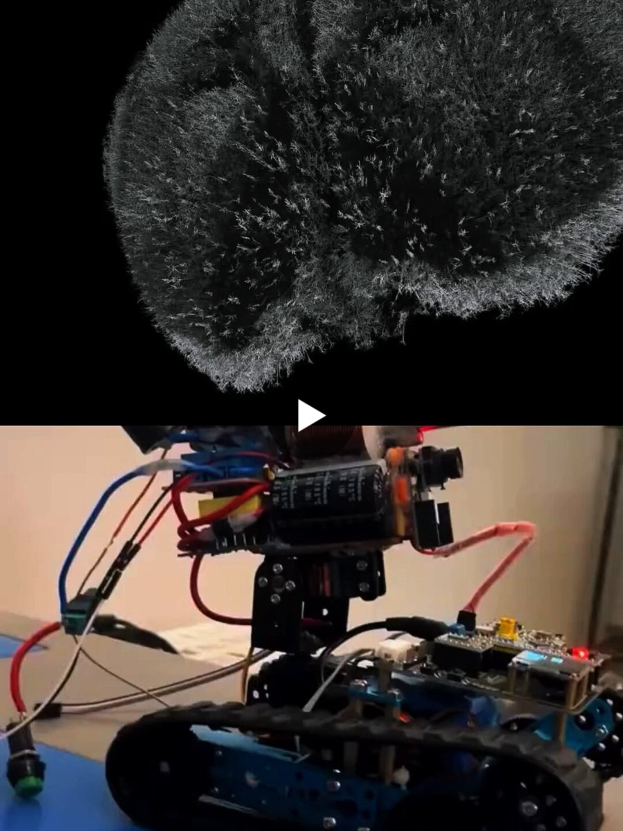 kozh ./ on X: "A FLY’S VISUAL SYSTEM COULD BECOME A ROBOT’S EYES. not ...