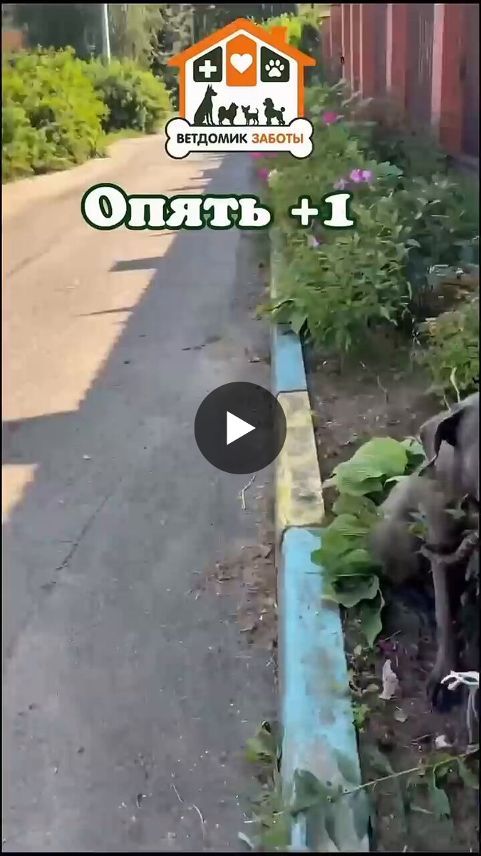 on-x