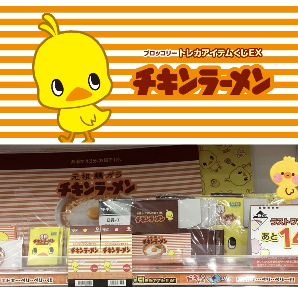 トレカチャンピオンMEGAドン・キホーテ豊橋店 on X: 