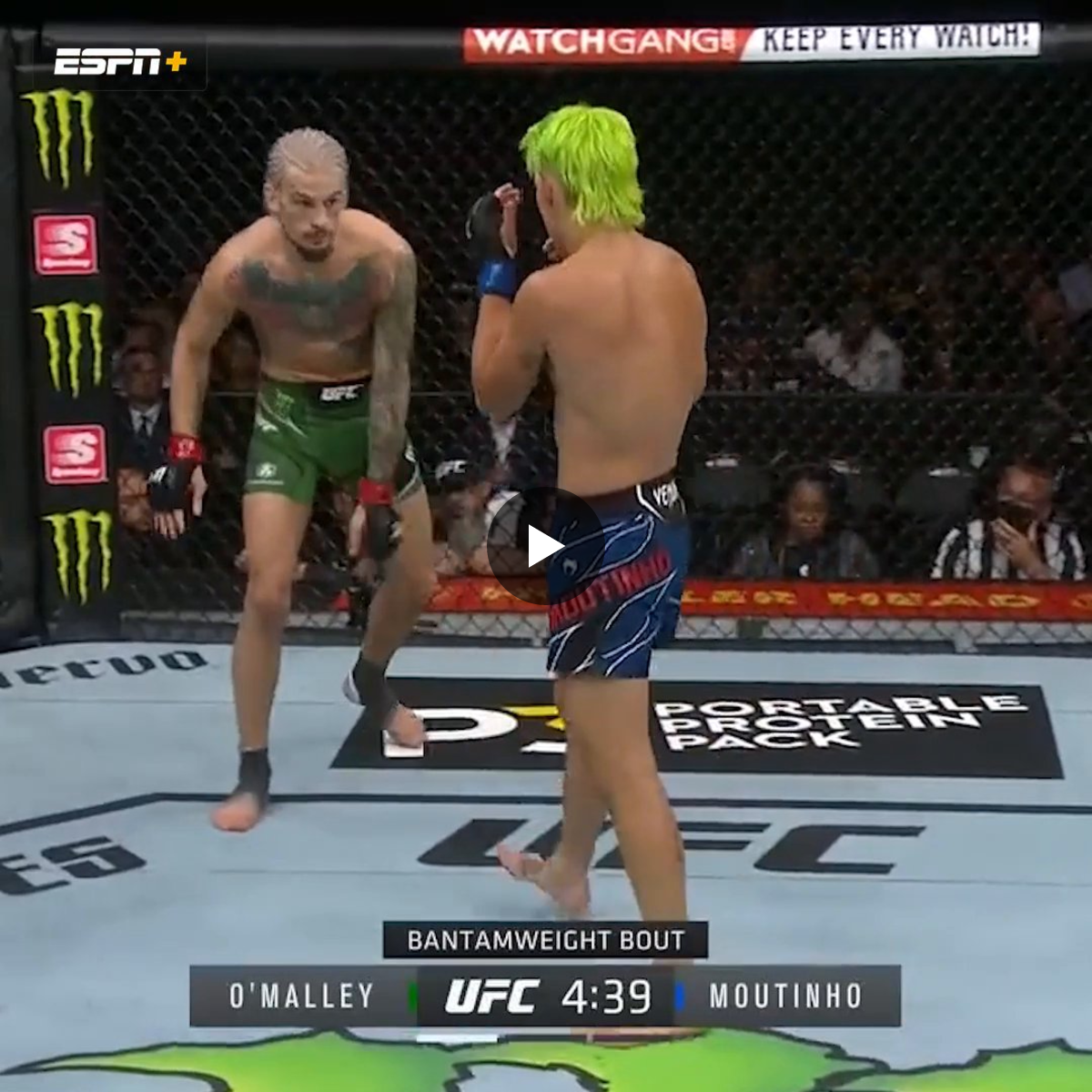 ショーン・オマリー オマリー フィギュア UFC 朝倉海 いっぺい｜泥臭い経営コンサル on X: 