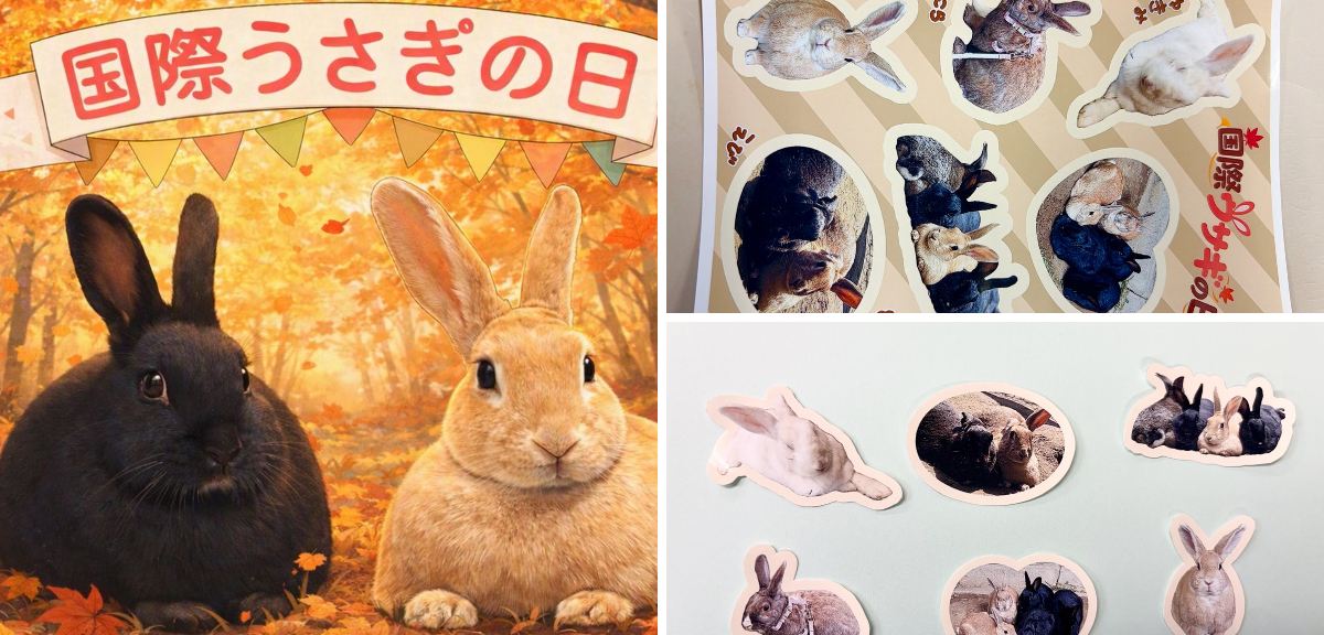 長野市茶臼山動物園【公式】 على X: 