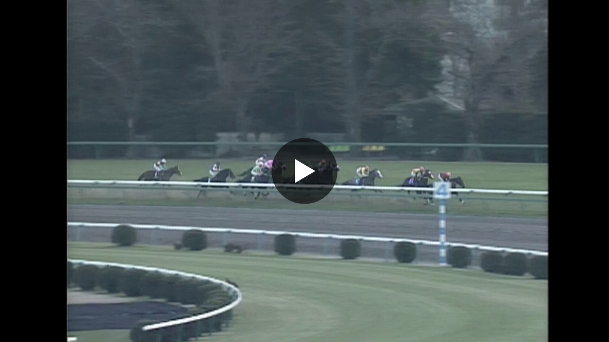 カンテレ競馬 on X: 