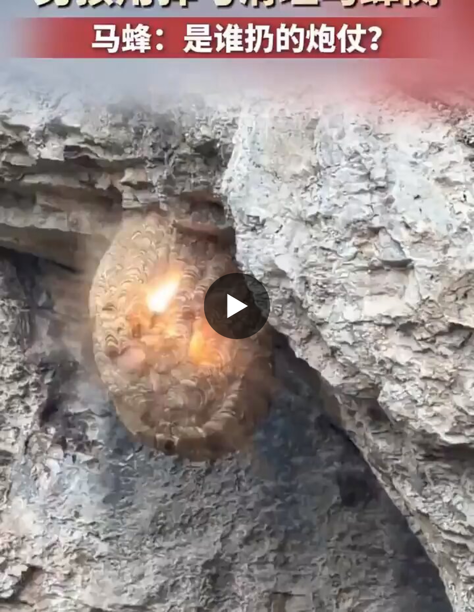 Interesting things on X: 