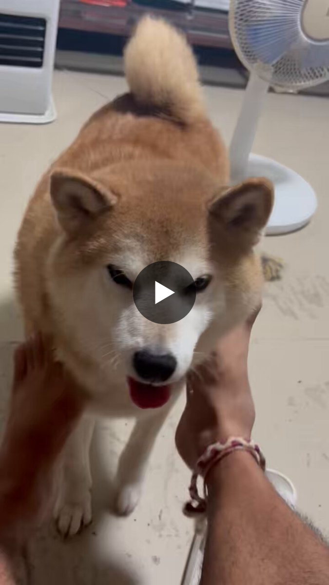 たくまる たくまる🐾🔜OFFF on X / X