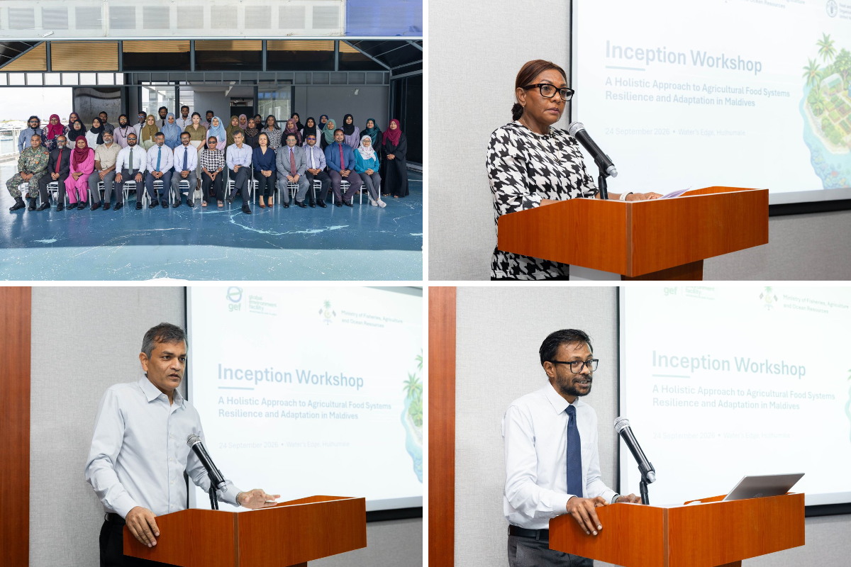 UN in the Maldives on X: 