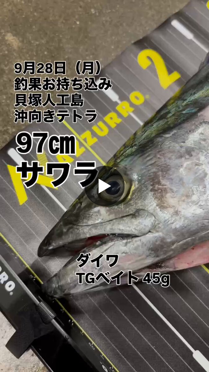 フィッシングマックス公式 on X: 