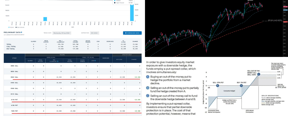 Trader Alpha on X: 