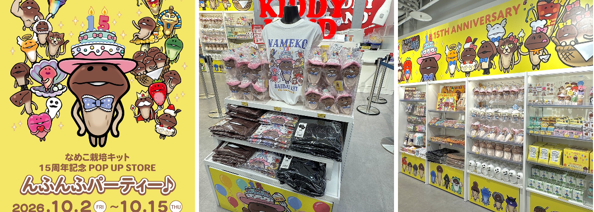 キデイランド新宿店 on X: 