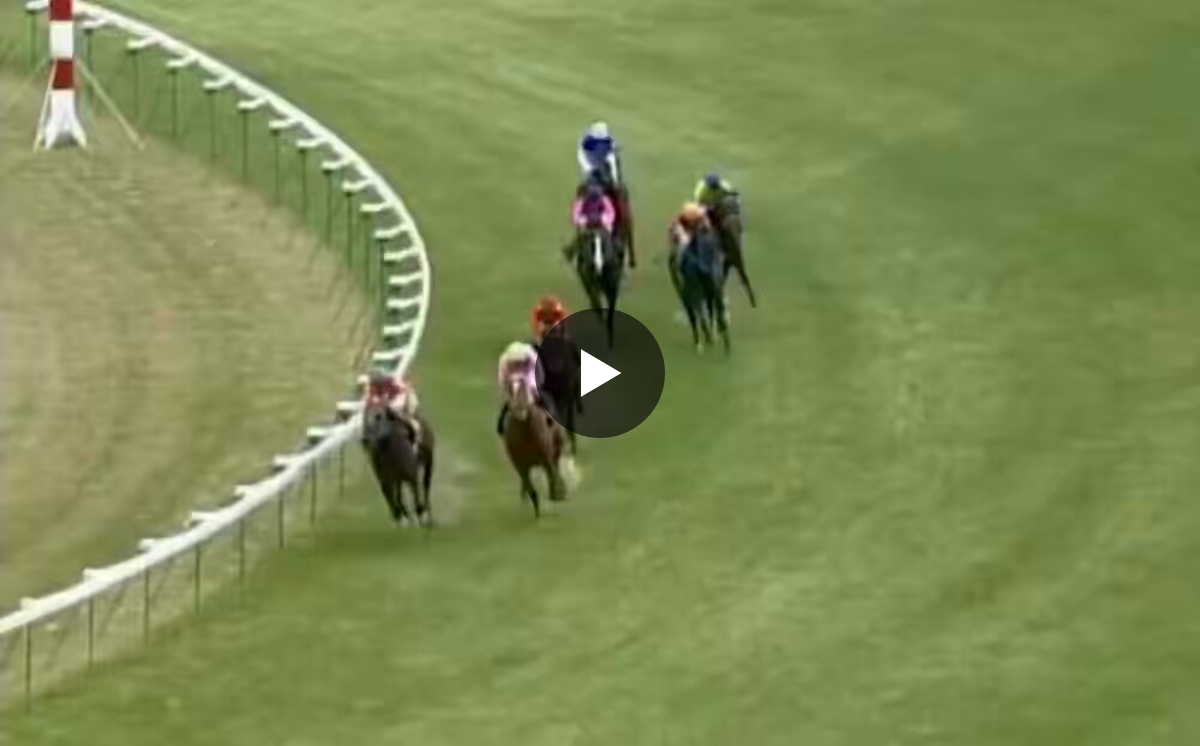 競馬力 on X: 