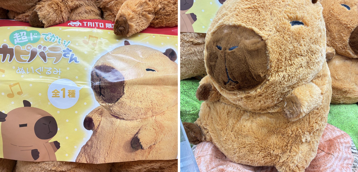 タイステ旭店 on X: 