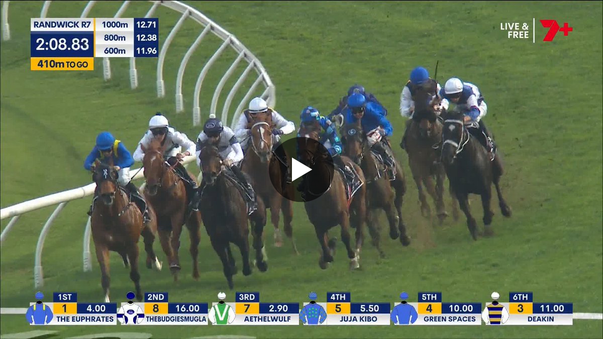 7HorseRacing 🐎 on X: 