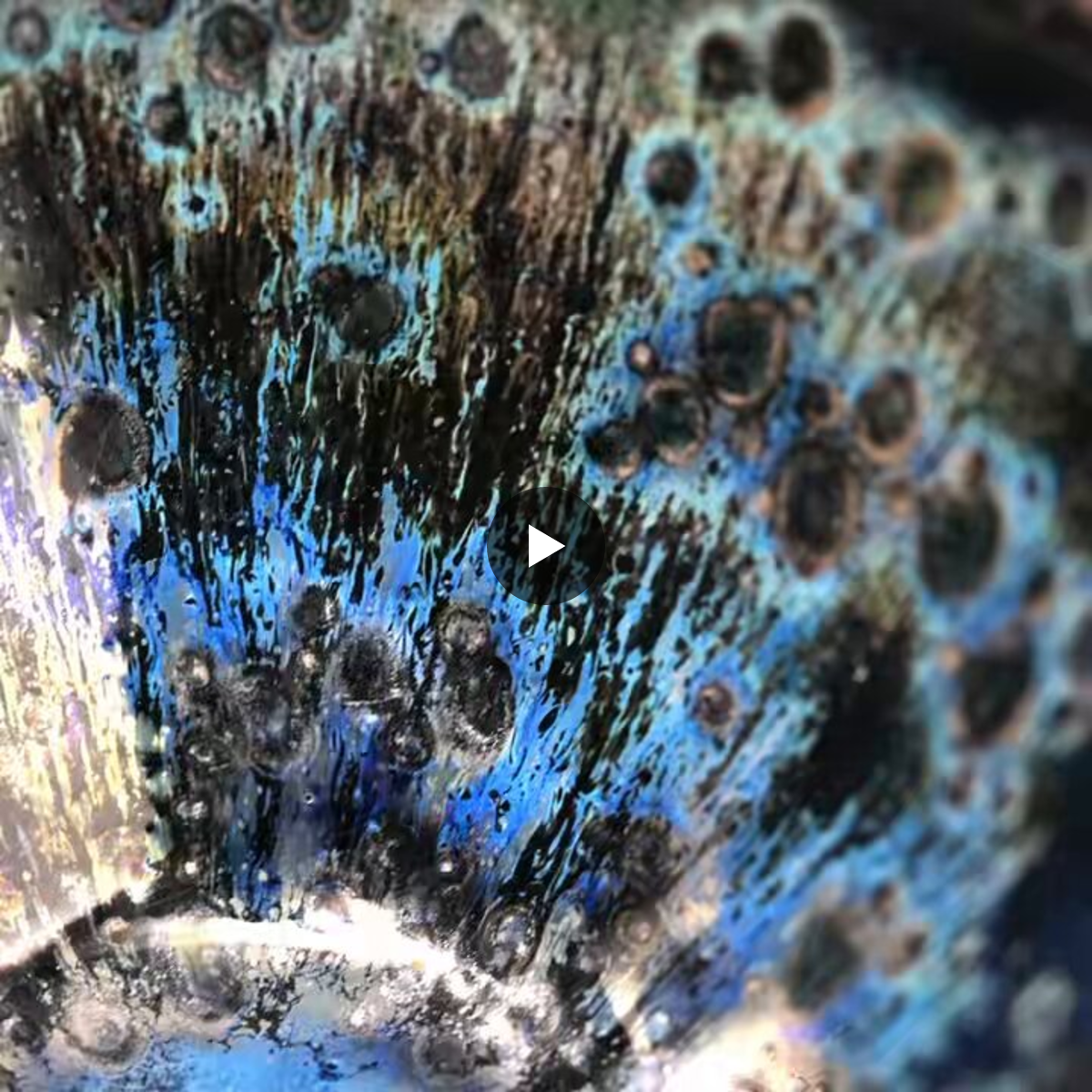 AZISAIKAMA on X: 