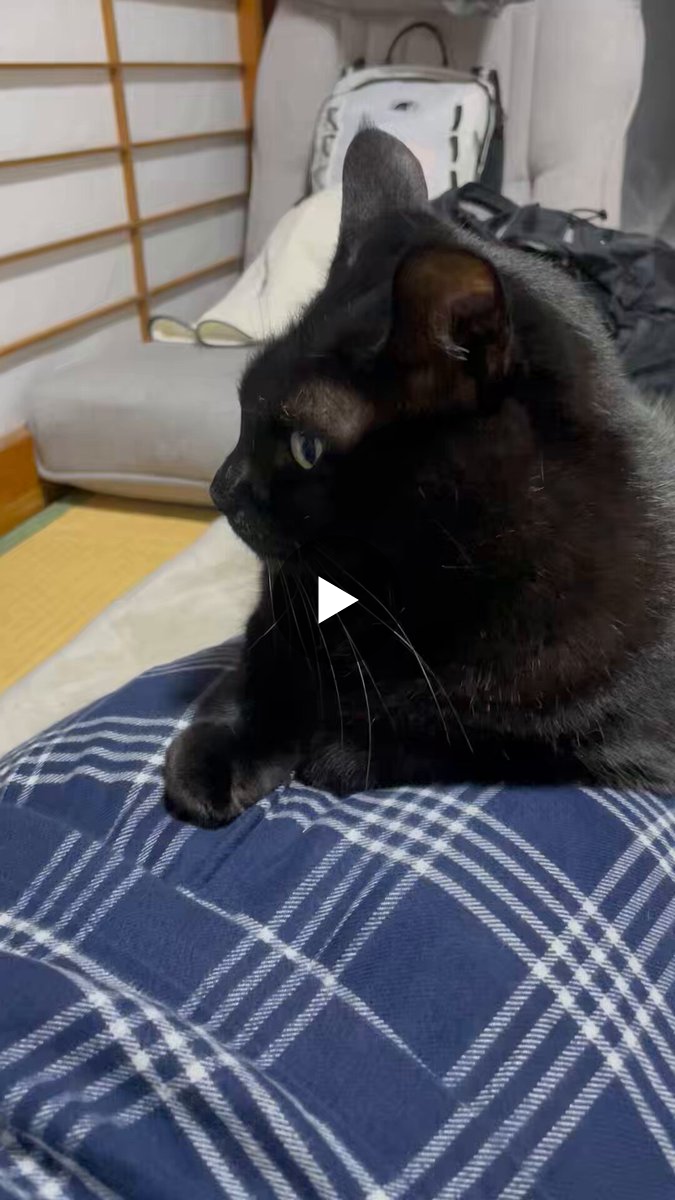 在庫さん:LimitBreakTVστο X: 