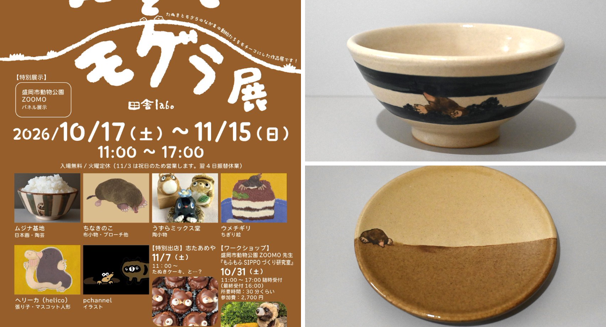 【 一点物 】 ムジナ基地 タヌキ 鉢 小鉢 器 ボウル 菊池咲 手描き 菊池咲@ムジナ基地 على X: 