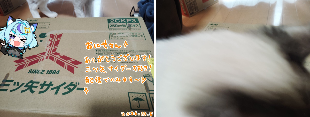 守藤みん on X: 