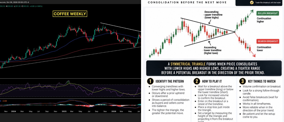 $Trader on X: 
