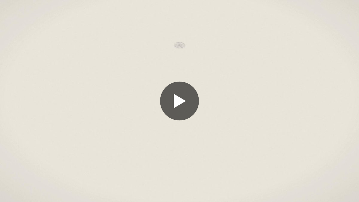 Rawlab on X: 