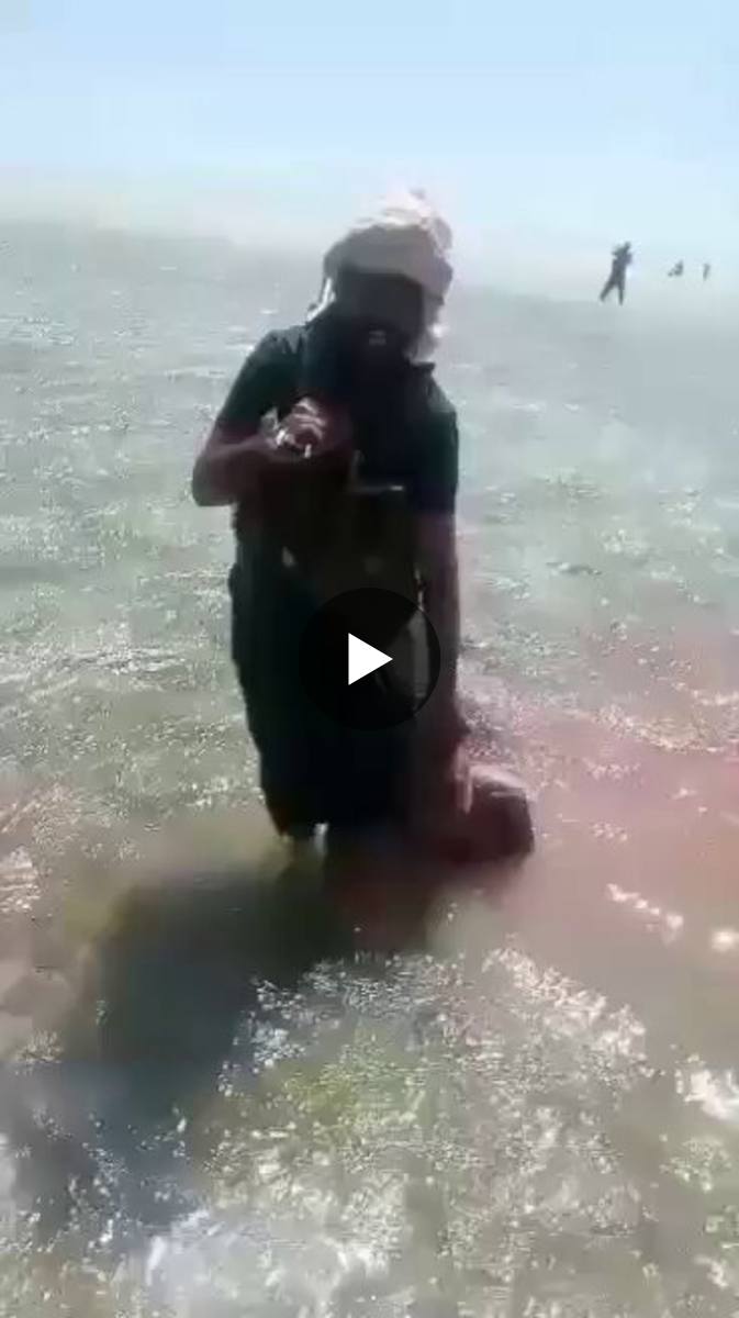 مبارك اليمني on X: 