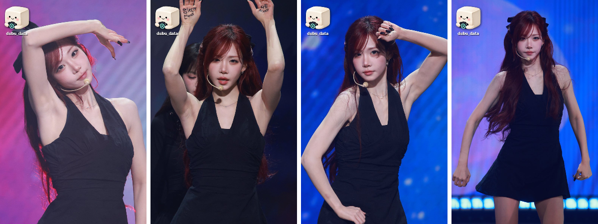 Dubu data on X: 